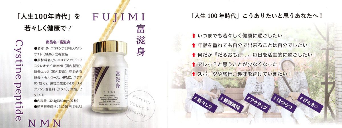 fujimislide